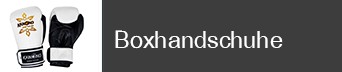 Boxhandschuhe