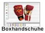 Boxhandschuhe